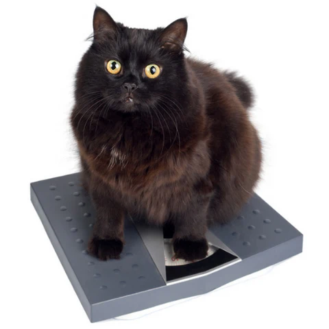 Picture for category Weight Loss Toys